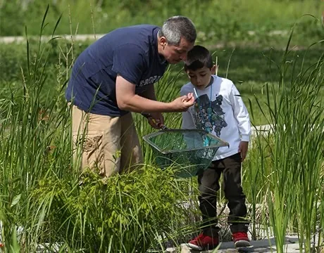 Greenbelt Forest Preserve in North Chicago, photographed from the City of North Chicago website.